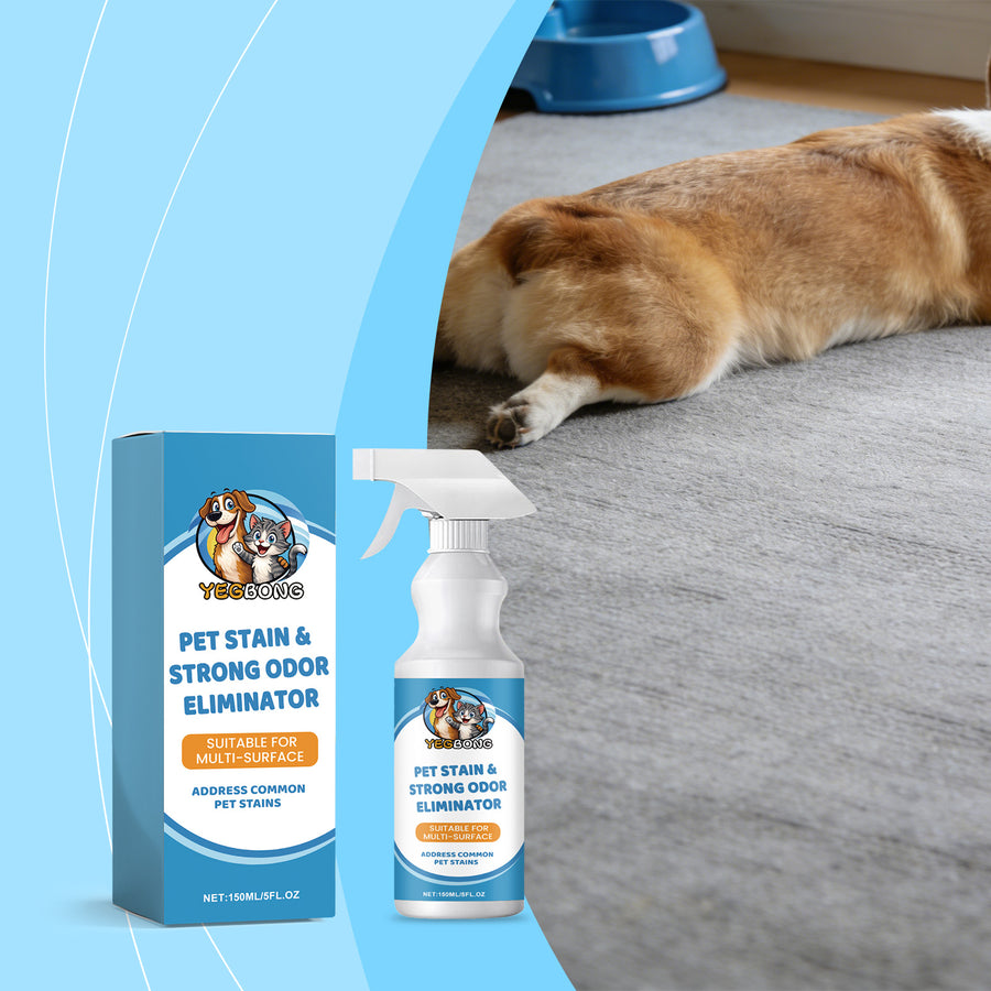Pet stain spray next to a dog resting on a carpet