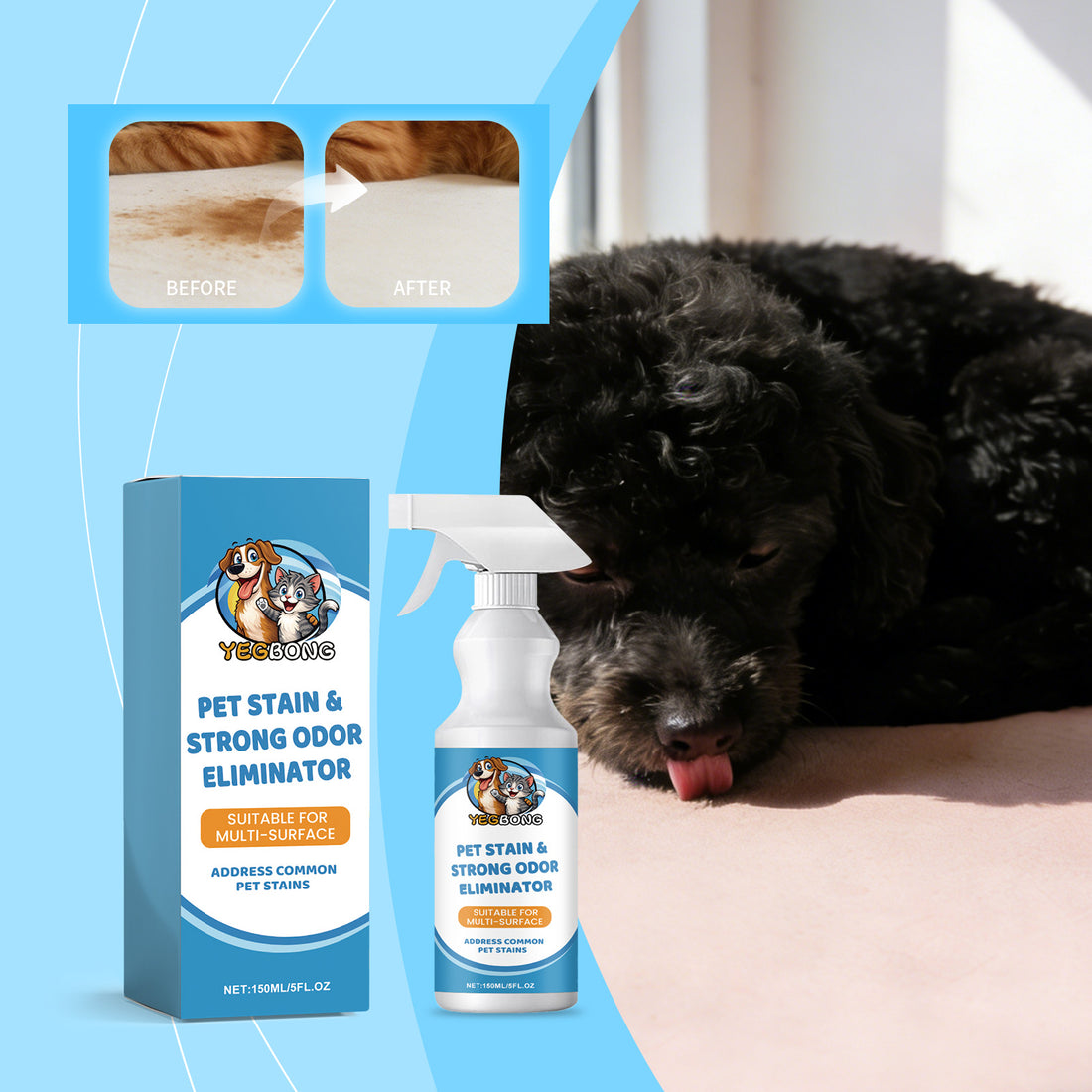 Before and after: a pet stain on a rug treated with Célune spray