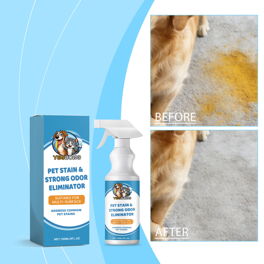 Before and after: a pet stain on a carpet