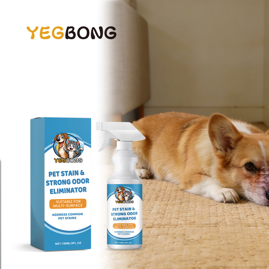 Pet stain spray next to a corgi lying on a rug